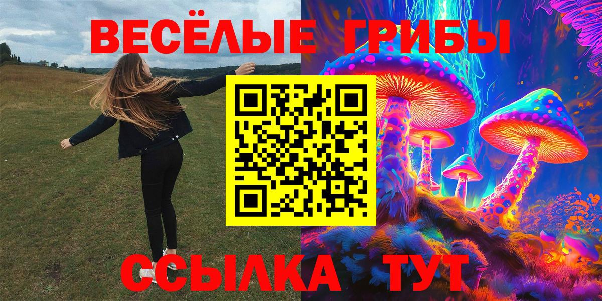 как найти закладки  Псилоцибиновые грибы Cubensis  Галлюциногенные грибы прущие грибы  Вход с VPN  Алексин 